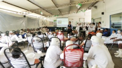 SIPAT Show Naturafrig Rochedo - MS